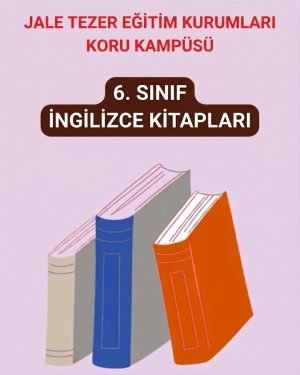 6. Sınıf İngilizce Kitapları